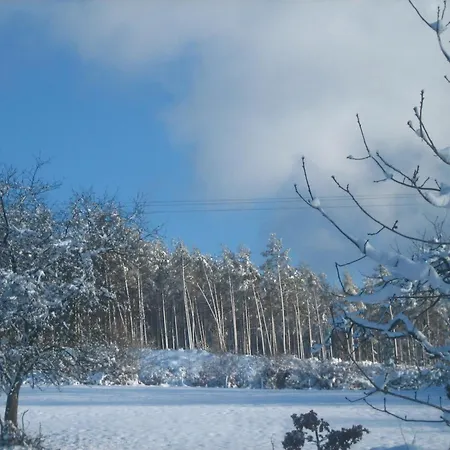 Holiday home Holiday Home In Fays With Sauna & Hiking, Cleaning Included Fays (Manhay)